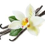 Violeta öblítő koncentrátum Sea Rose gold 2,7 L - Image 2